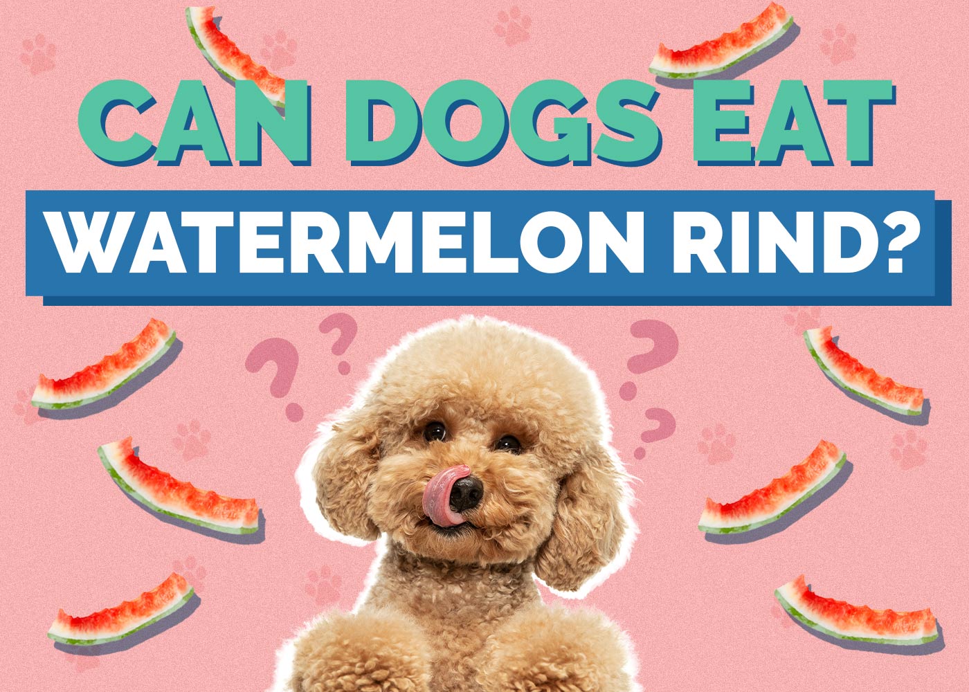 Can Dogs Eat Watermelon Rind? Vet-Approved Nutrition Facts & FAQ