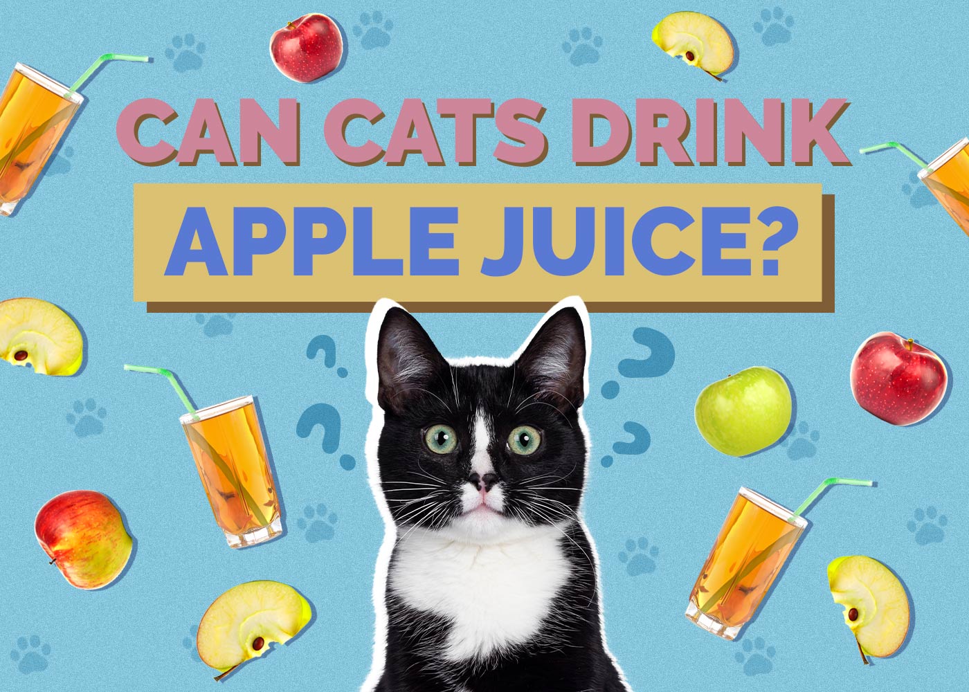 Can Cats Drink Apple Juice? Vet Approved Facts & Safety Guide