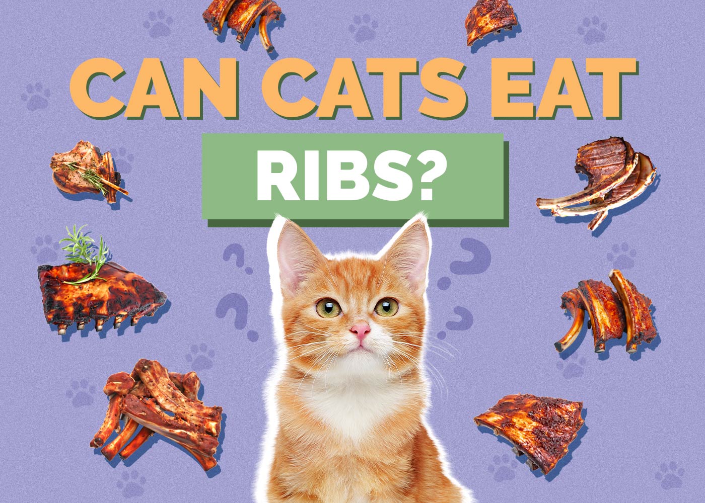 Can Cats Eat Ribs? Vet-Approved Health Guide