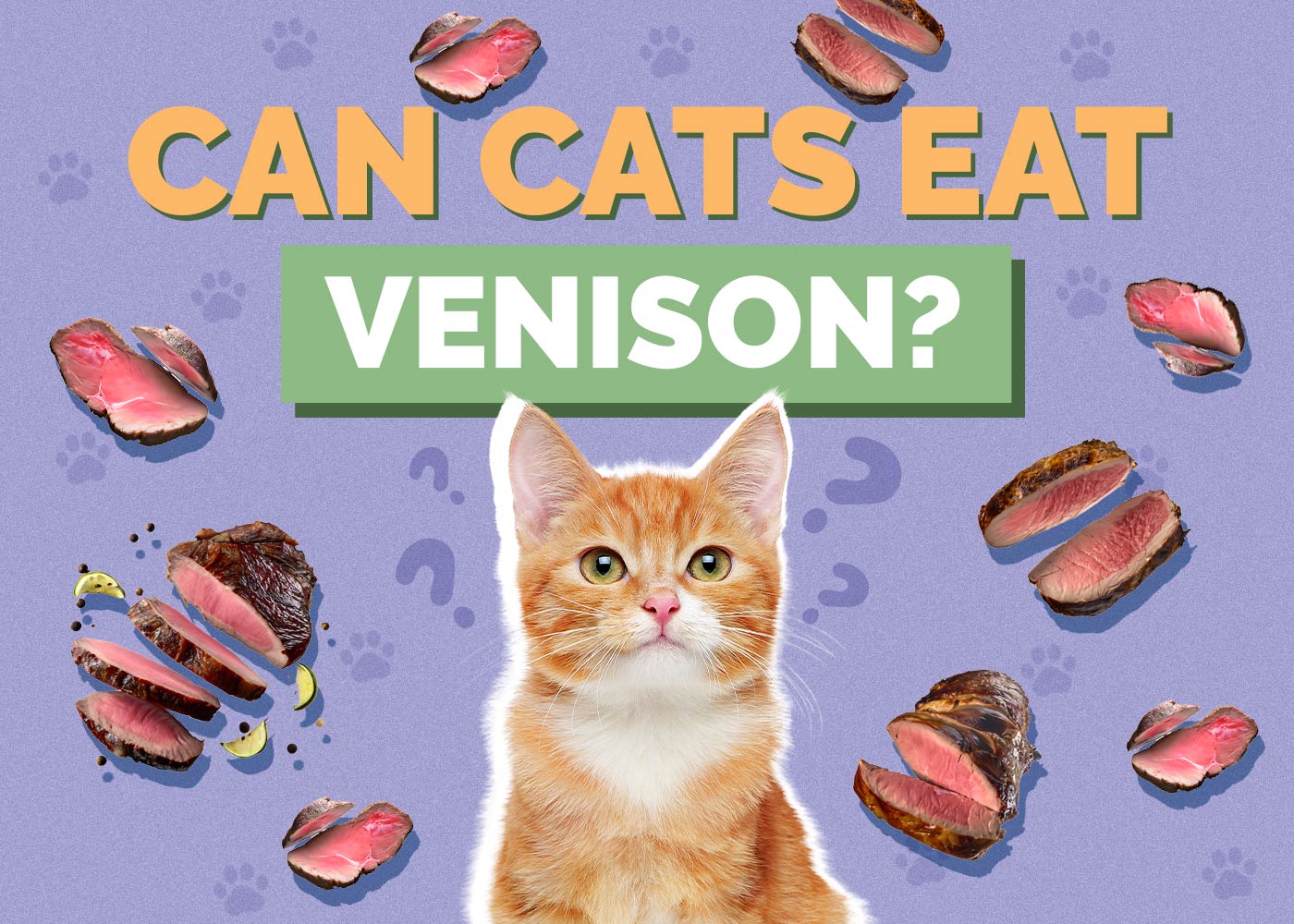 Can Cats Eat Venison? Vet Approved Facts & FAQ
