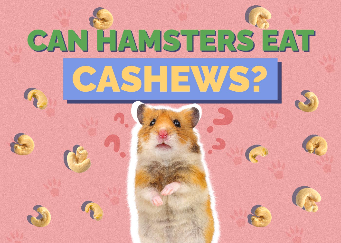 Can Hamsters Eat Cashews? Vet-Verified Facts & FAQ