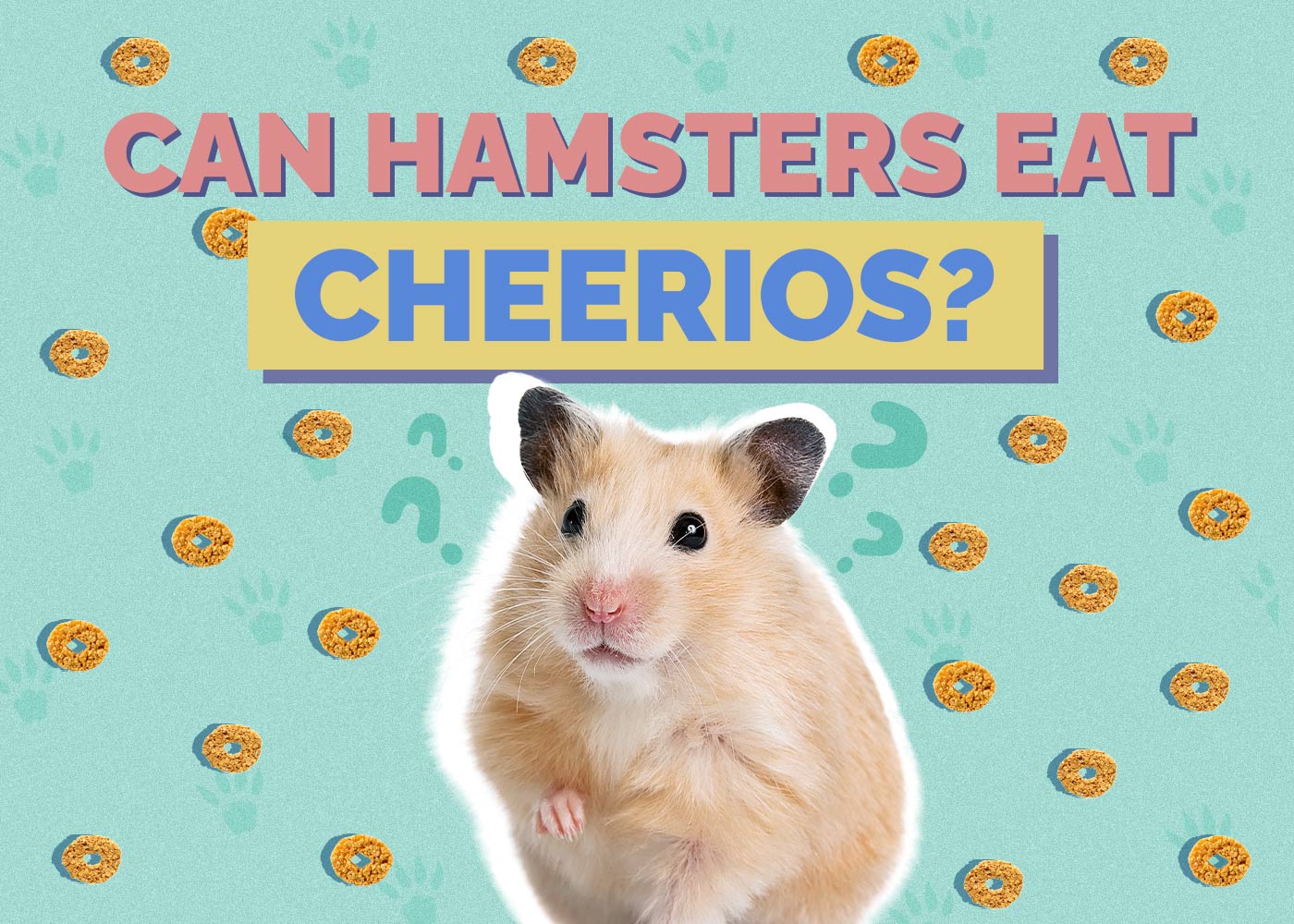 Can Hamsters Eat Cheerios? Vet Answered Facts & Nutrition Advice
