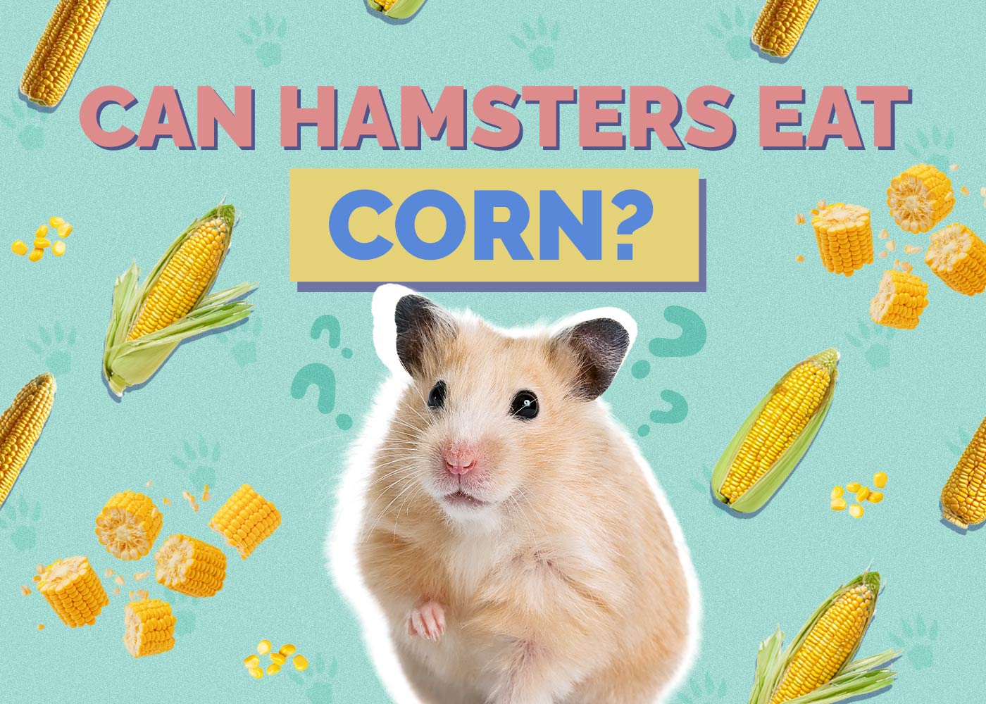 Can Hamsters Eat Corn? Vet Approved Facts & FAQ