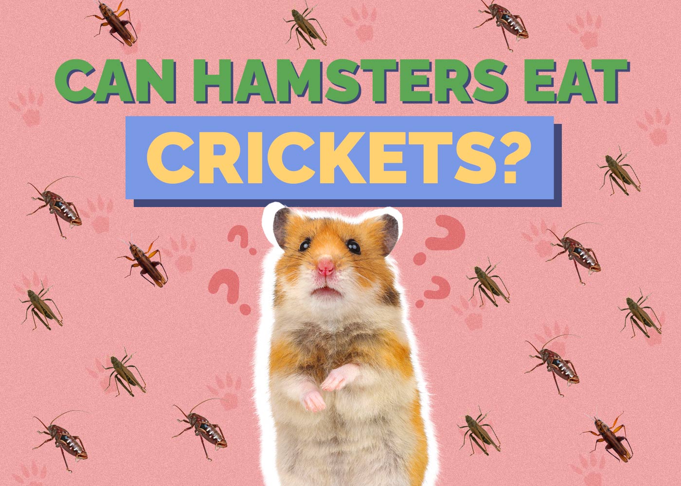 Can Hamsters Eat Crickets? Vet-Reviewed Nutrition Guide