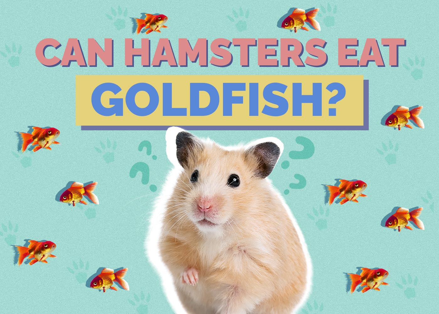 Can Hamsters Eat Goldfish? Vet-Reviewed Facts & Safety Guide