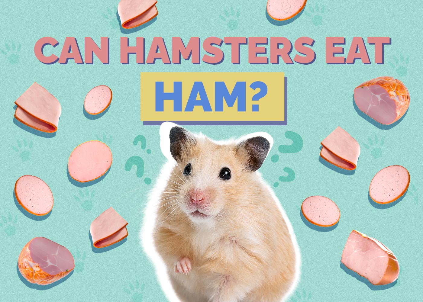 Can Hamsters Eat Ham? Vet-Reviewed Health Guide & FAQ