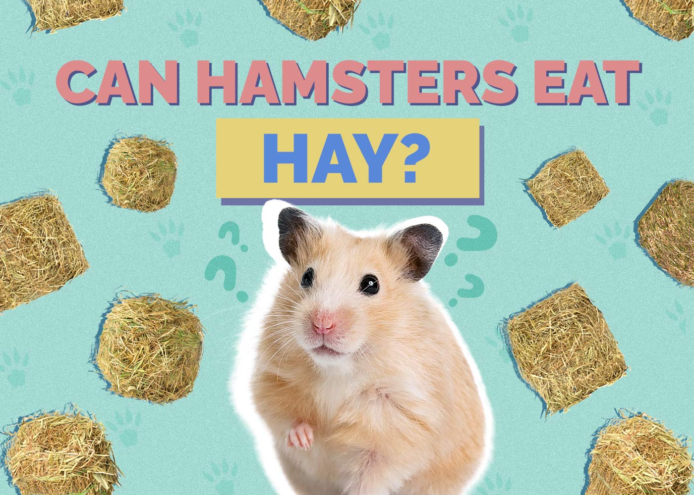 Can Hamsters Eat Hay? Vet Approved Facts & FAQ