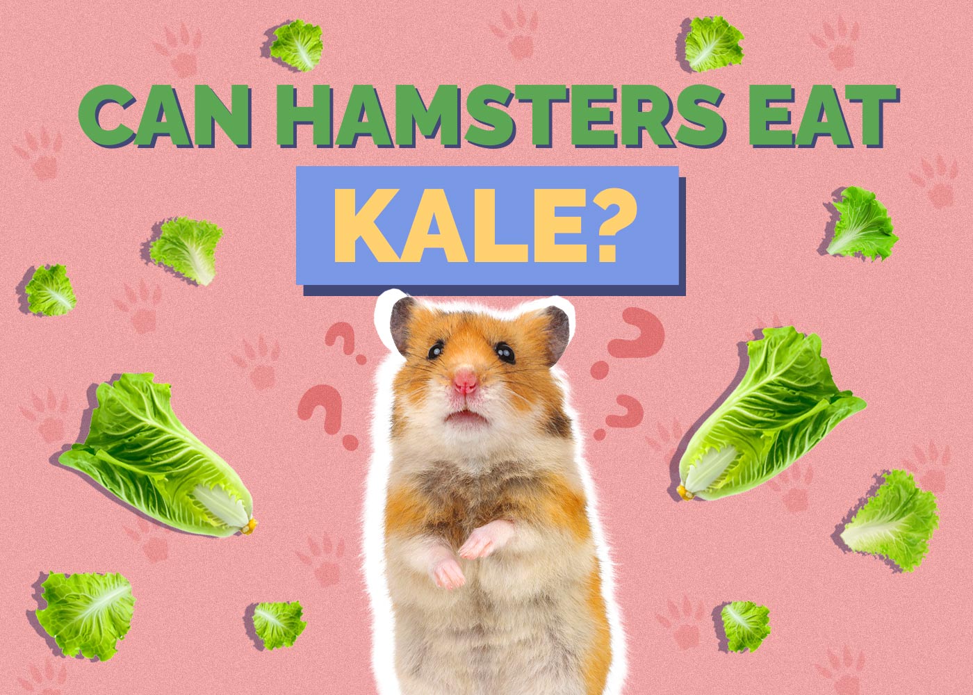 Can Hamsters Eat Kale? Vet Reviewed Facts & FAQ