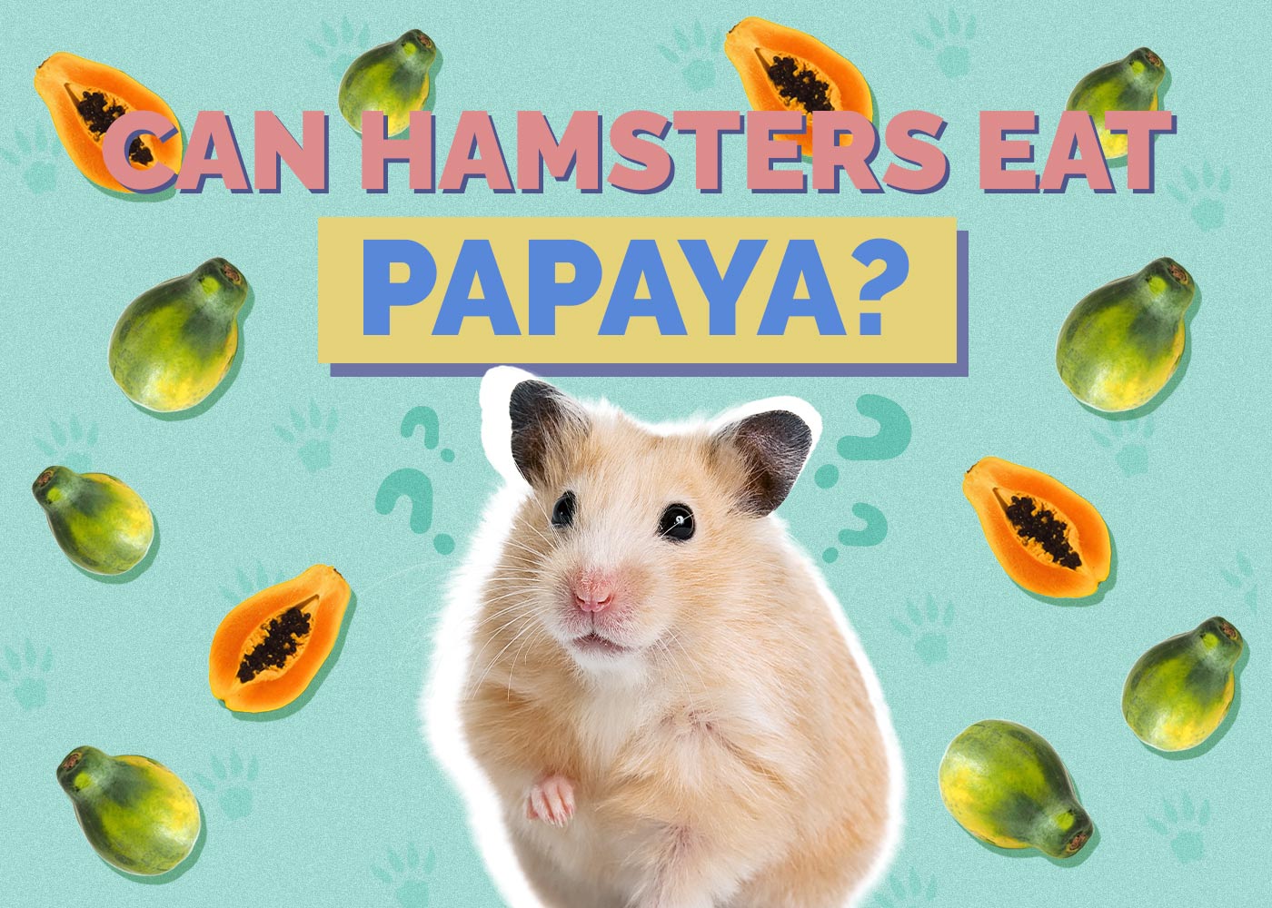 Can Hamsters Eat Papaya? Vet Approved Facts & FAQ