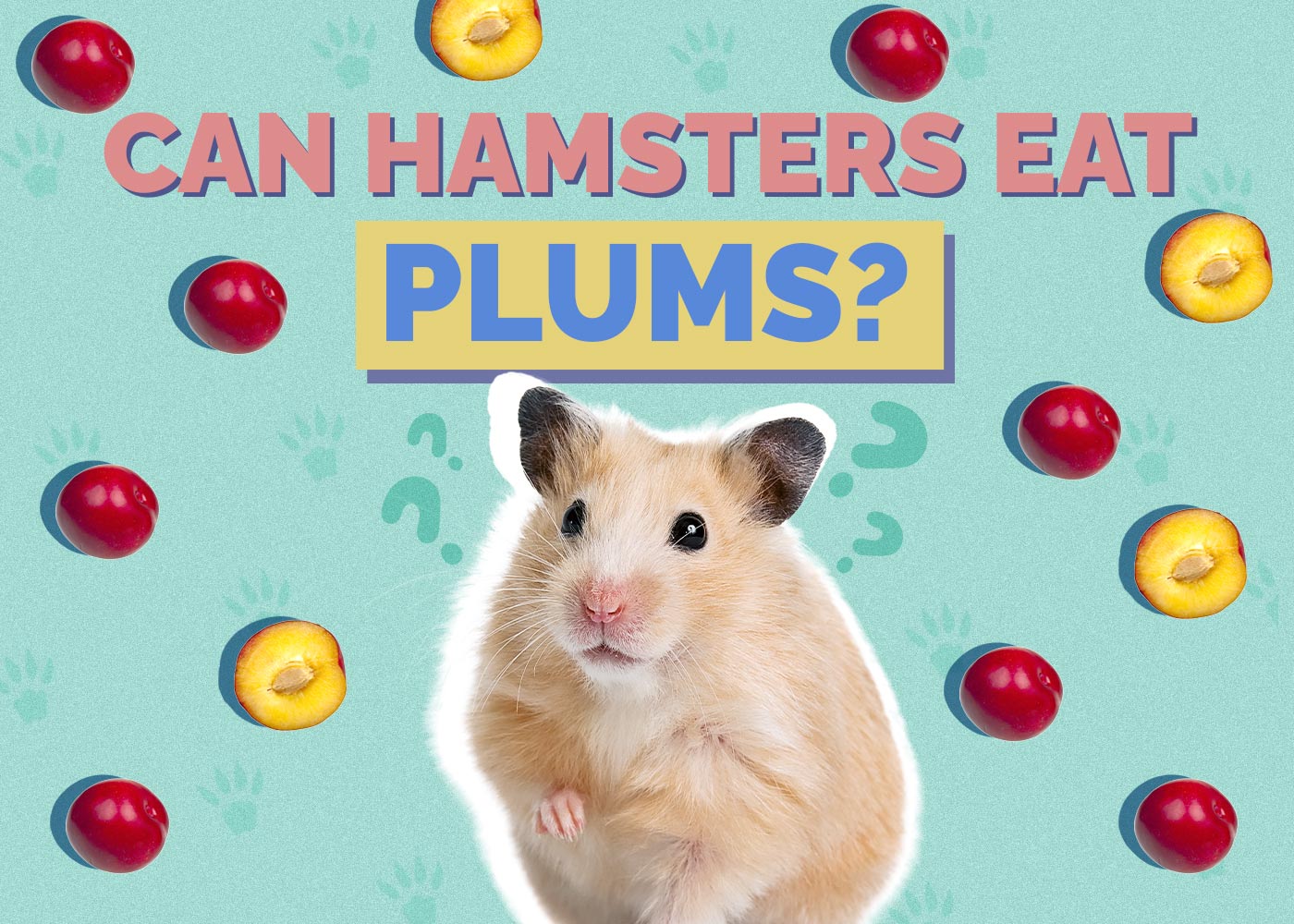 Can Hamsters Eat Plums? Vet-Approved Facts & Safety Guide