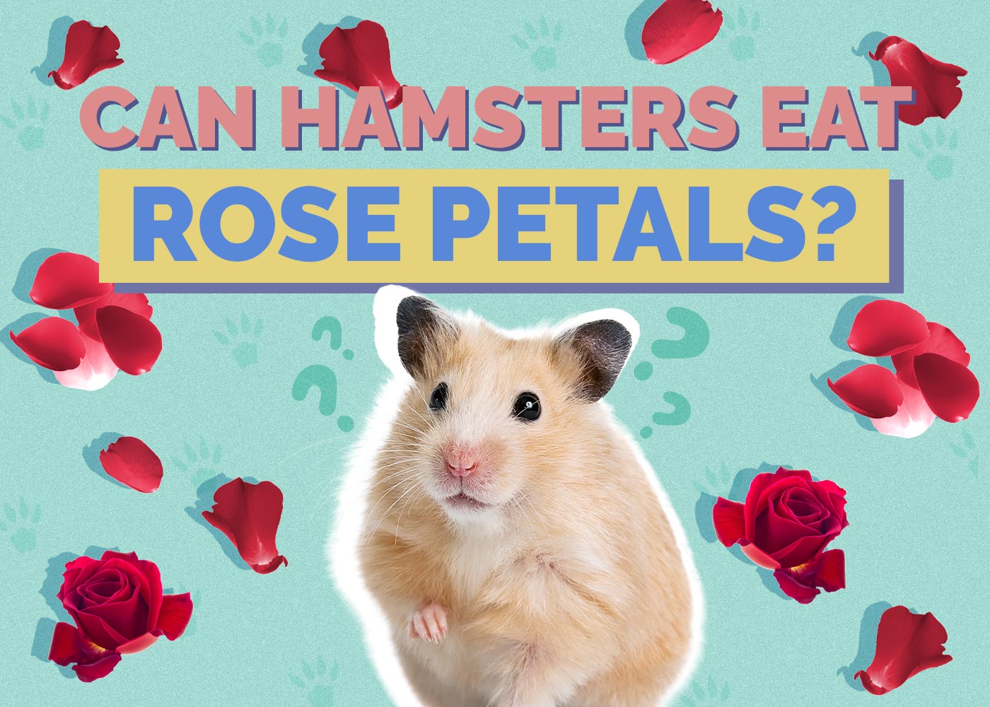 Can Hamsters Eat Rose Petals? Vet-Approved Facts & Safety Guide