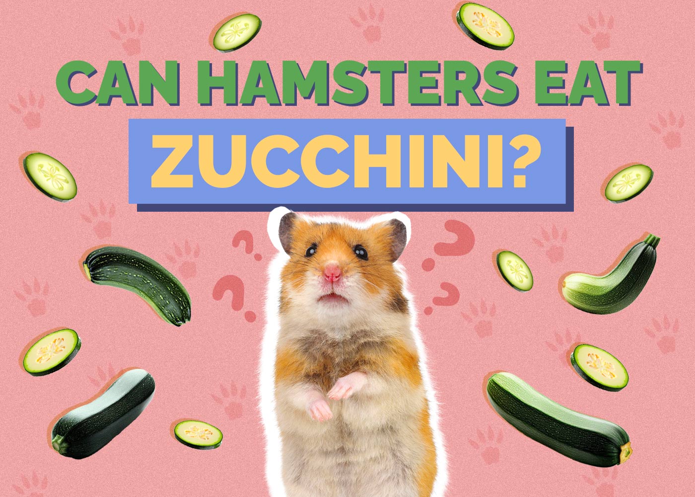 Can Hamsters Eat Zucchini? Vet-Reviewed Facts & FAQ