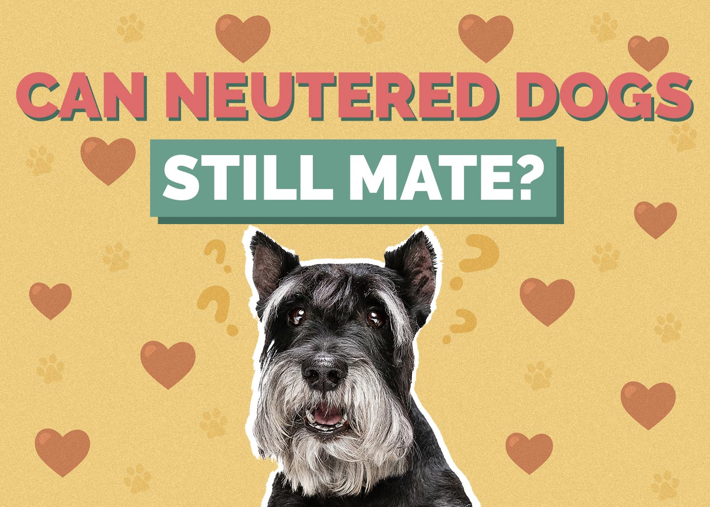 Can Neutered Dogs Still Mate? Vet-Verified Facts & FAQ