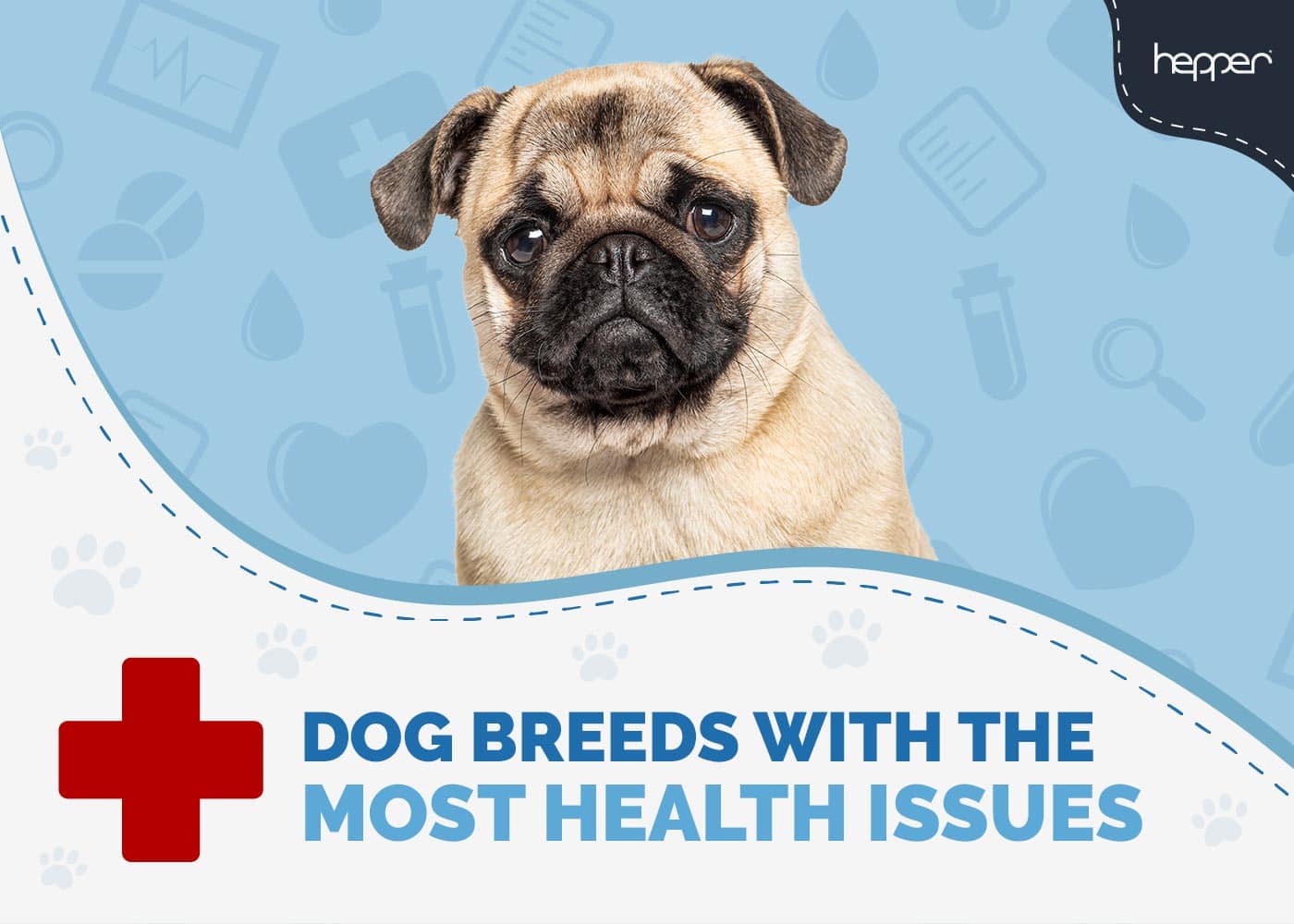 25 Unhealthiest Dog Breeds (With the Most Health Issues): Vet-Reviewed Facts