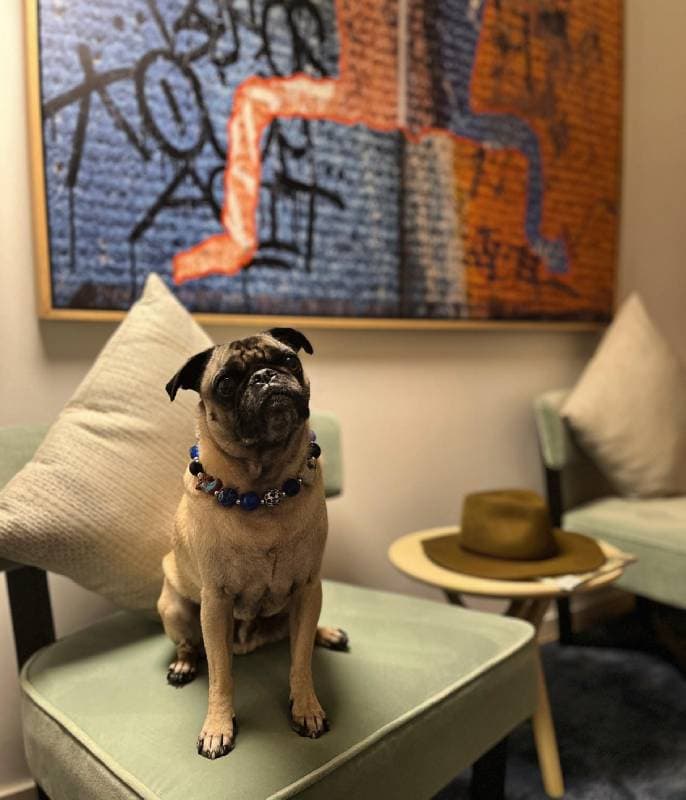 Kimpton Pittman Hotel Dallas