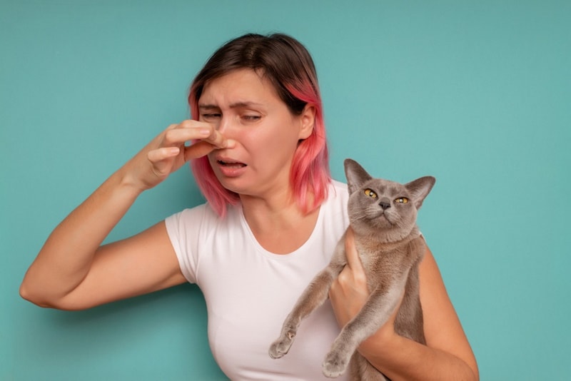 Why Does My Cat Fart on Me? 5 Vet-Reviewed Reasons