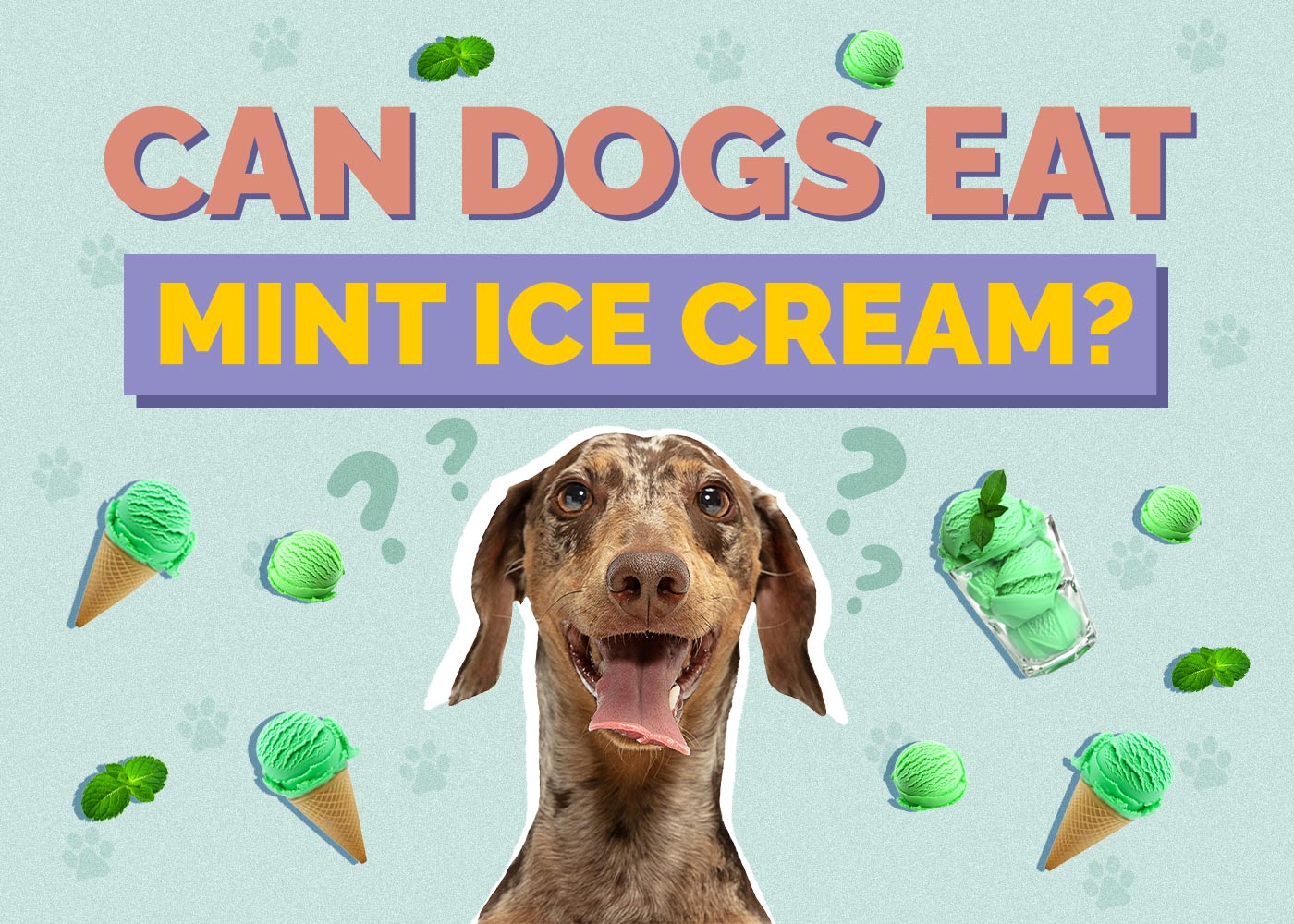Can Dogs Eat Mint Ice Cream? Vet Approved Nutrition Facts