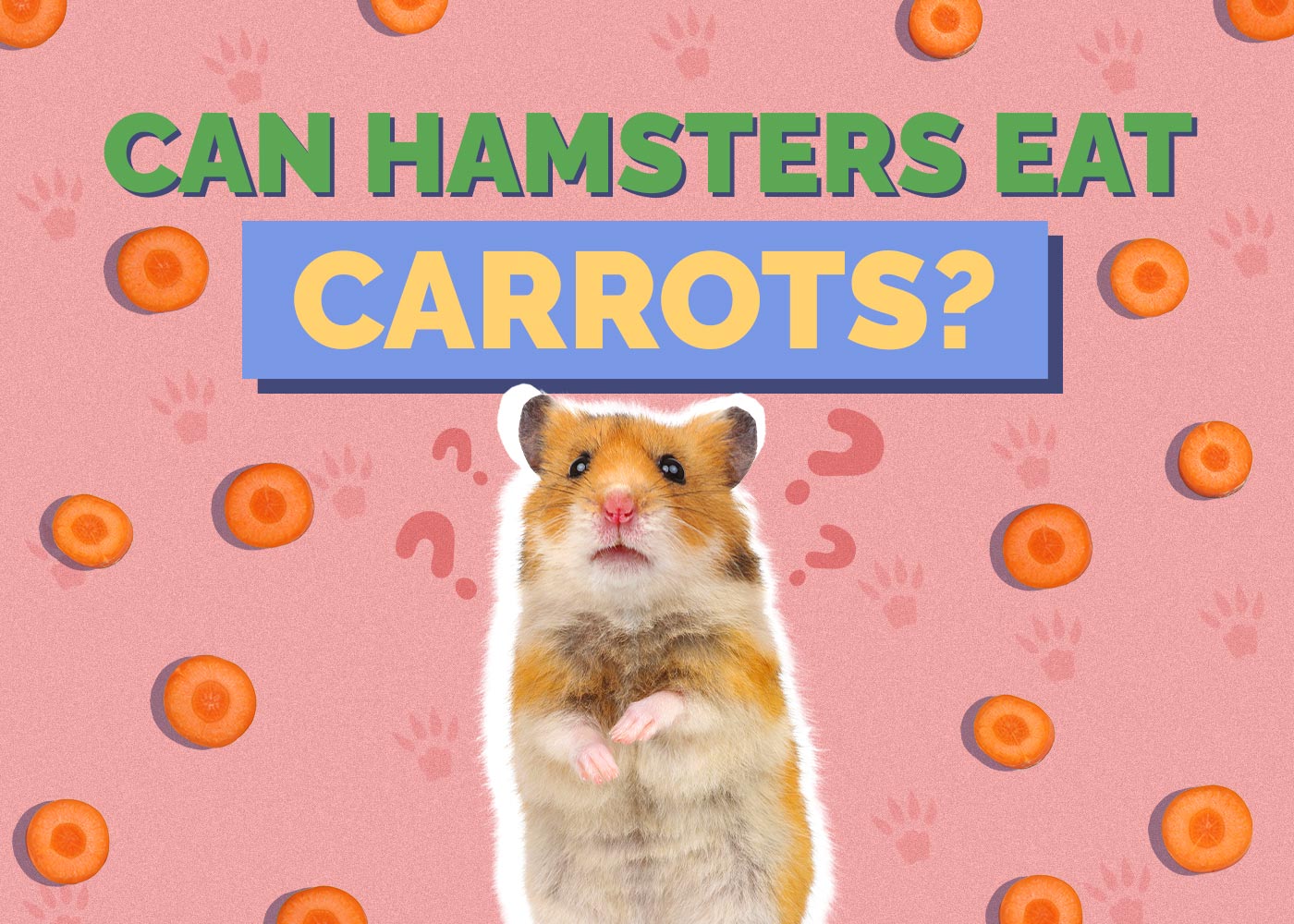 Can Hamsters Eat Carrots? Vet Approved Nutrition Facts & FAQ