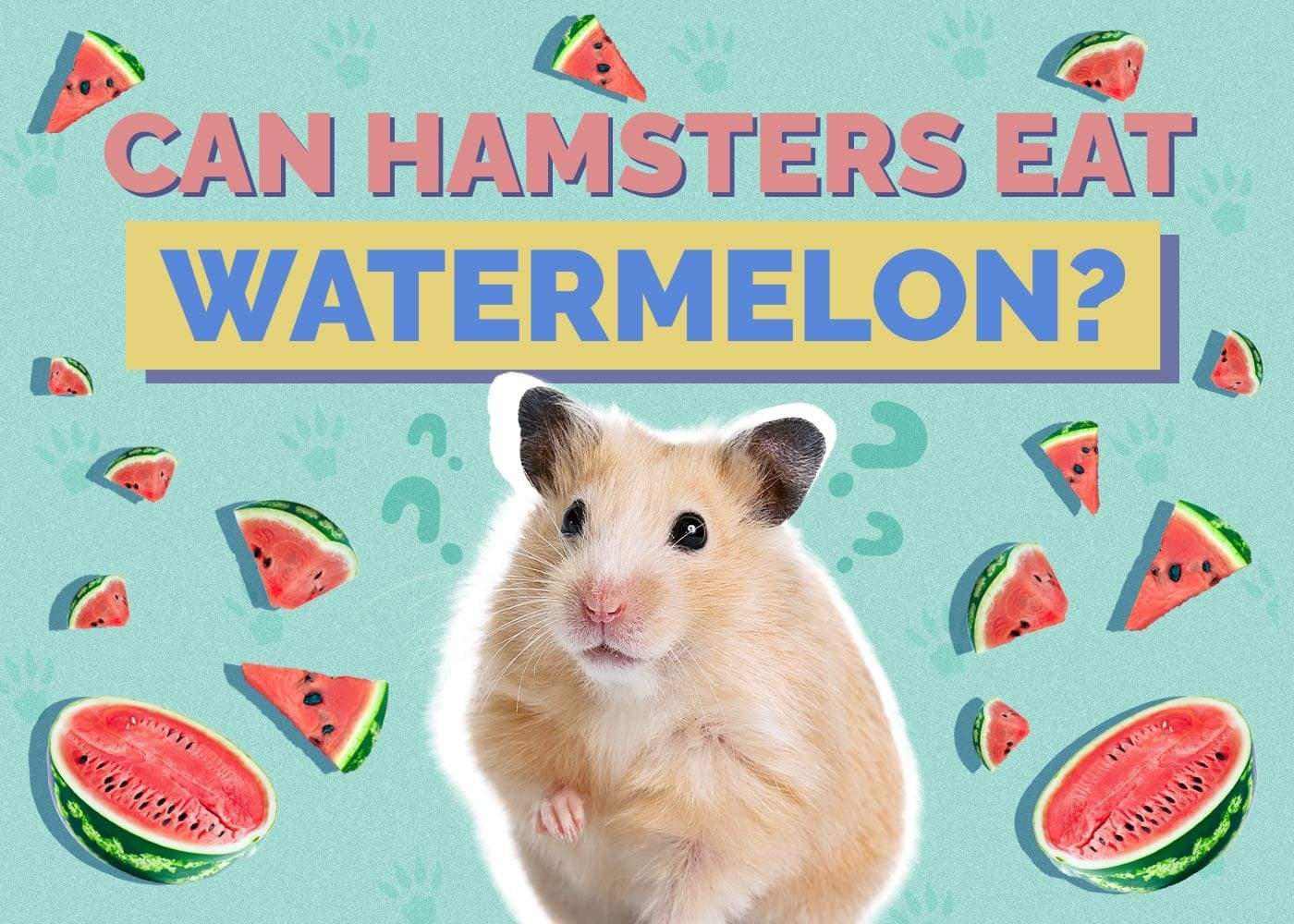 Can Hamsters Eat Watermelon? Vet Approved Facts & Advice