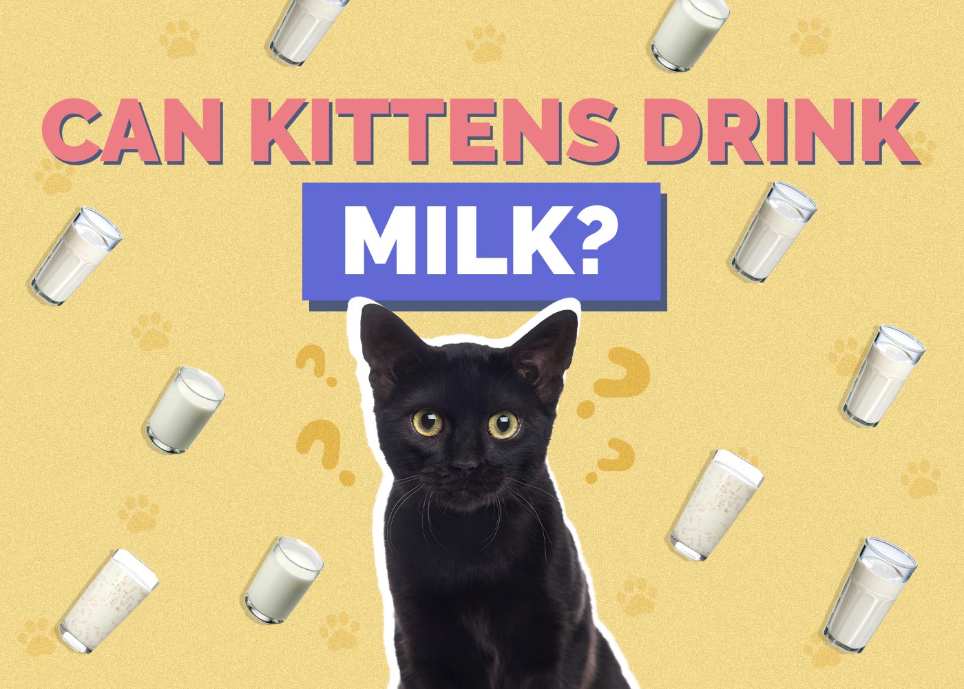 Can Kittens Drink Milk? Vet-Approved Facts & FAQ