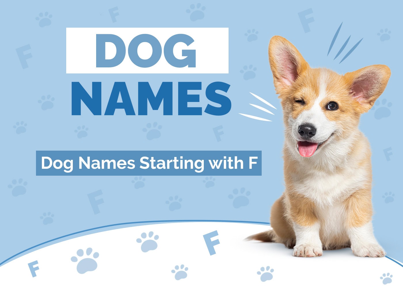 130+ Dog Names Starting with F: Fun Options For Your Pet
