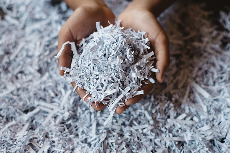 Can You Use Shredded Paper for Cat Litter? Vet Approved Advice