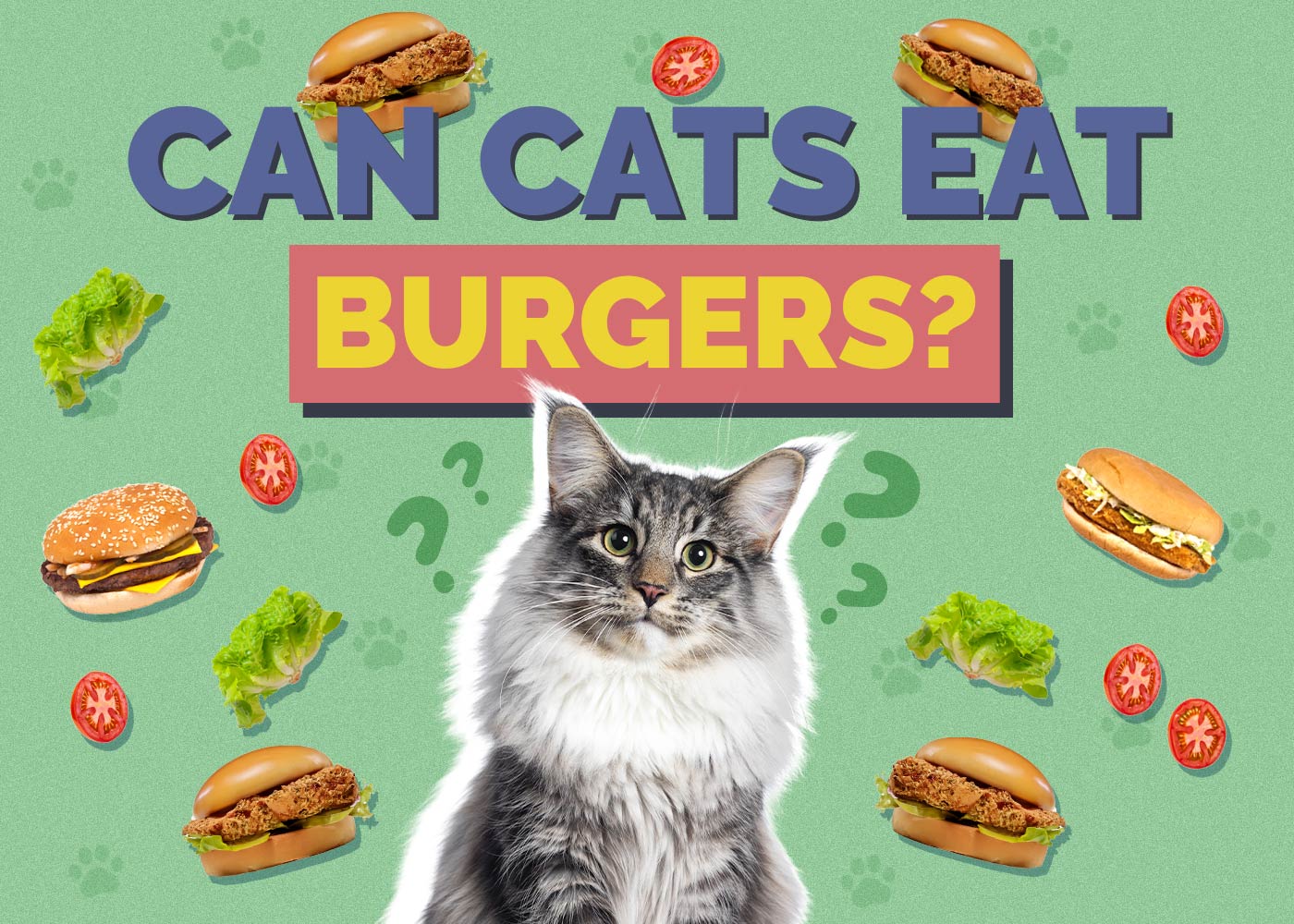 Can Cats Eat Burgers? Vet Approved Facts & FAQ