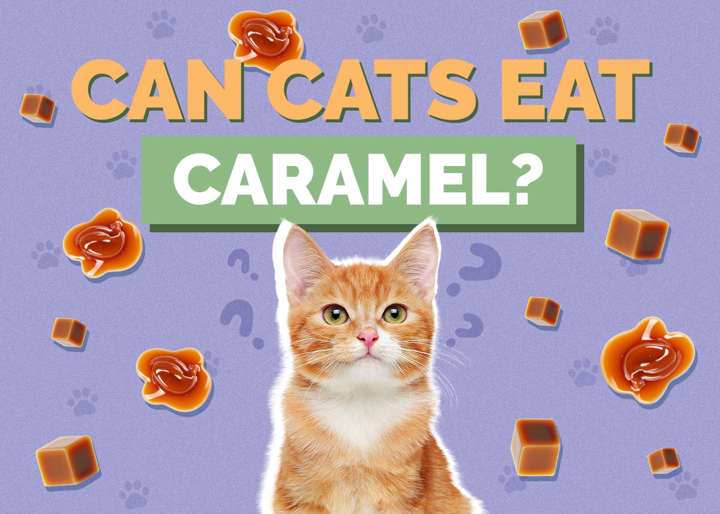 Can Cats Eat Caramel? Vet Approved Facts & FAQ