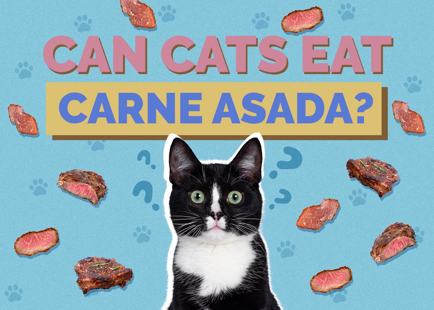 Can Cats Eat Carne Asada? Vet-Reviewed Facts & FAQ