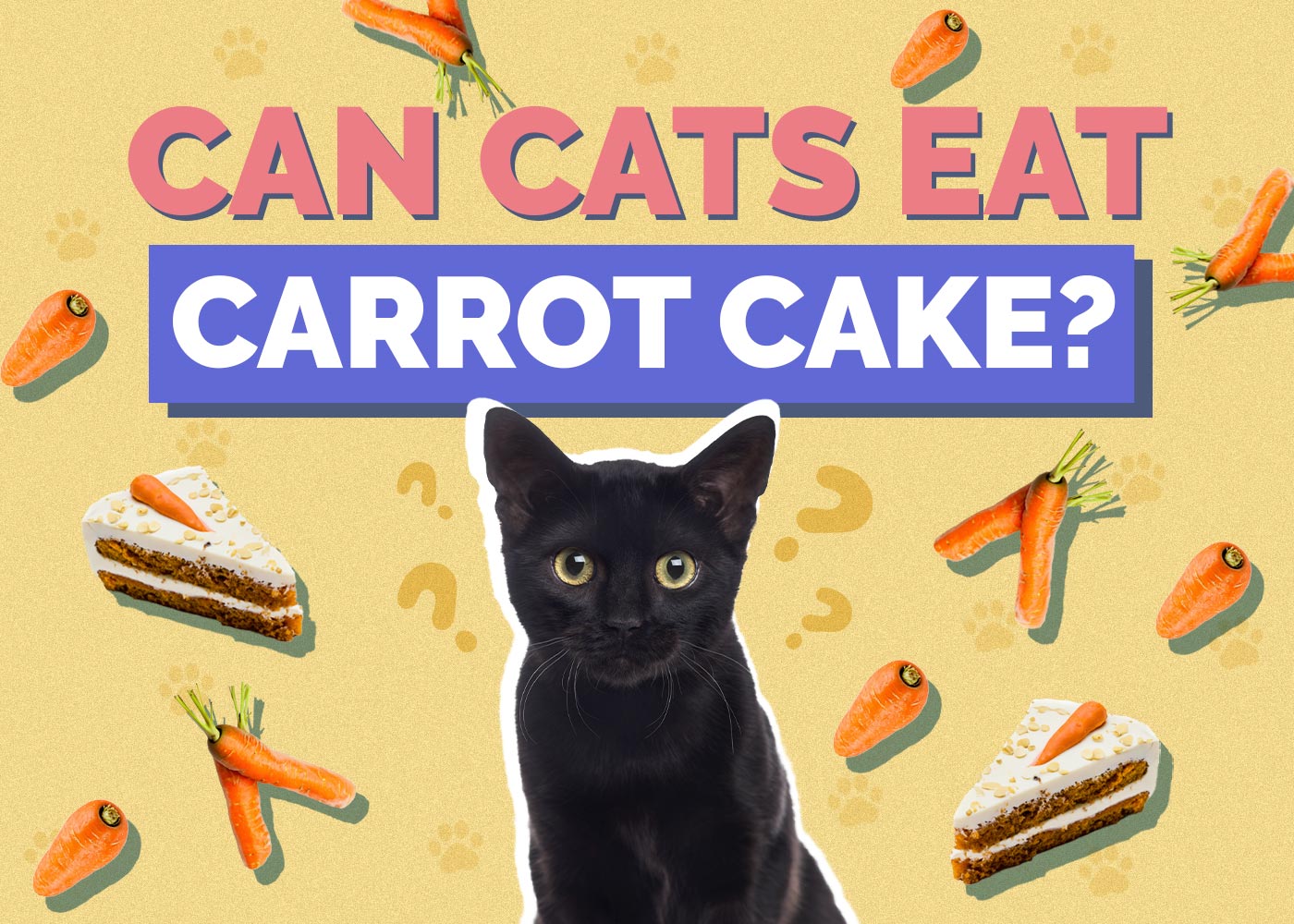 Can Cats Eat Carrot Cake? Vet-Reviewed Facts & FAQ