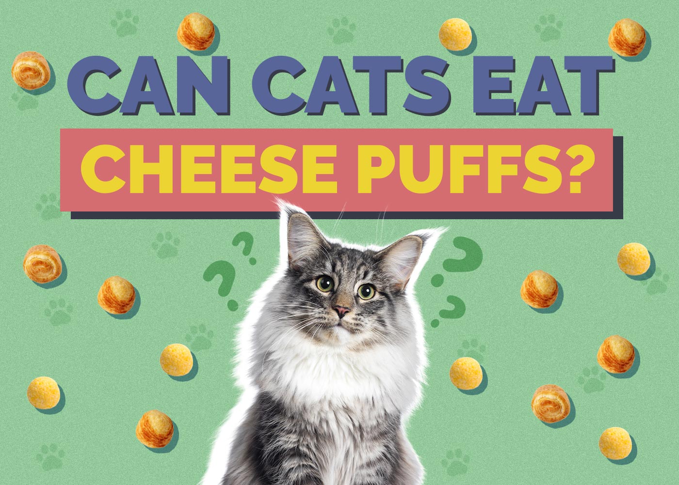 Can Cats Eat Cheese Puffs? Vet-Approved Facts & FAQ