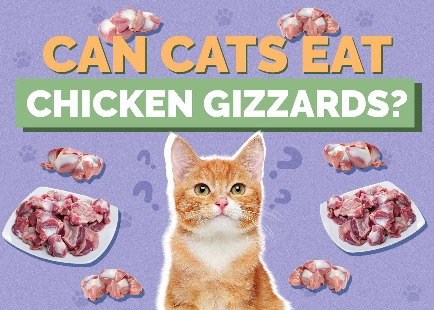 Can Cats Eat Chicken Gizzards? Vet-Approved Facts & FAQ