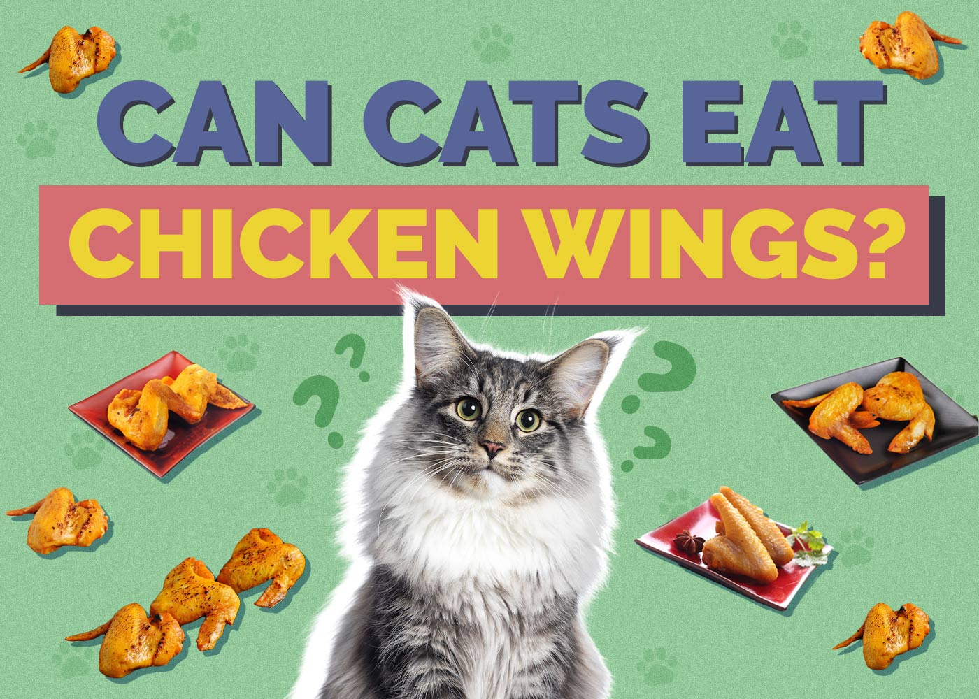 Can Cats Eat Chicken Wings? Vet Approved Facts & FAQ