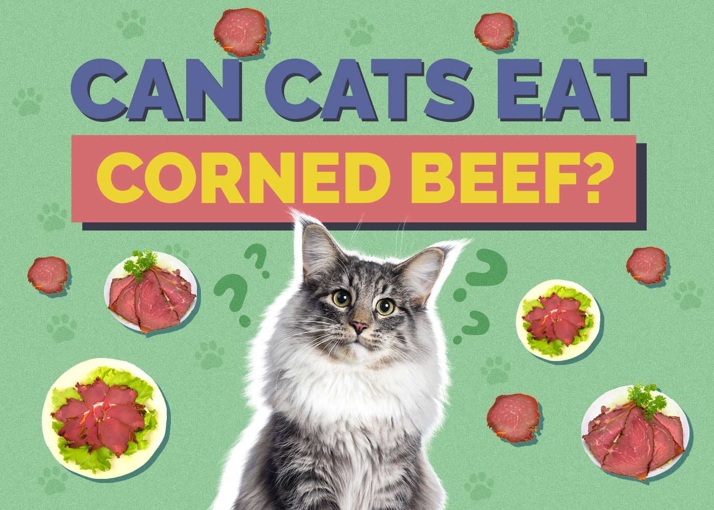 Can Cats Eat Corned Beef? Vet-Approved Facts & FAQ