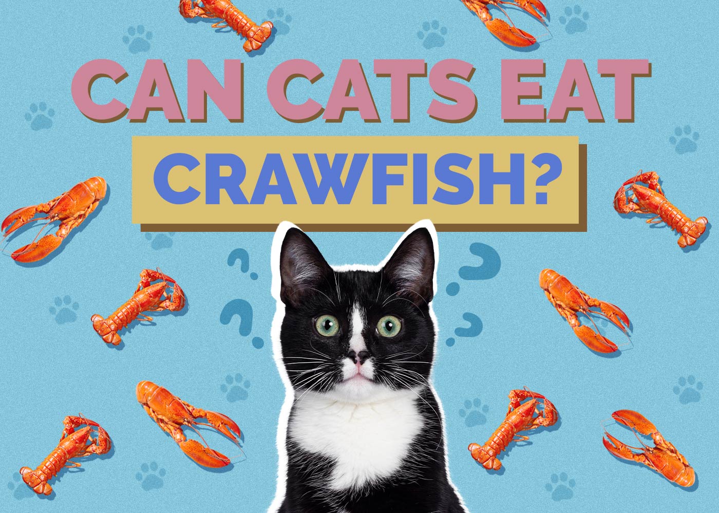 Can Cats Eat Crawfish? Vet-Reviewed Facts & FAQ