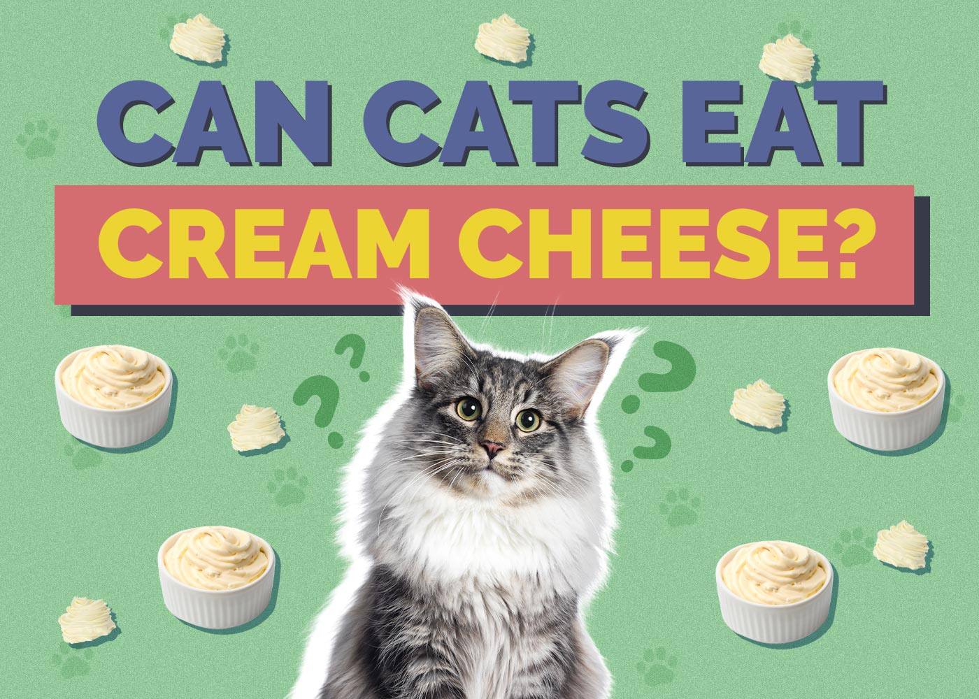 Can Cats Eat Cream Cheese? Vet-Reviewed Facts & FAQ