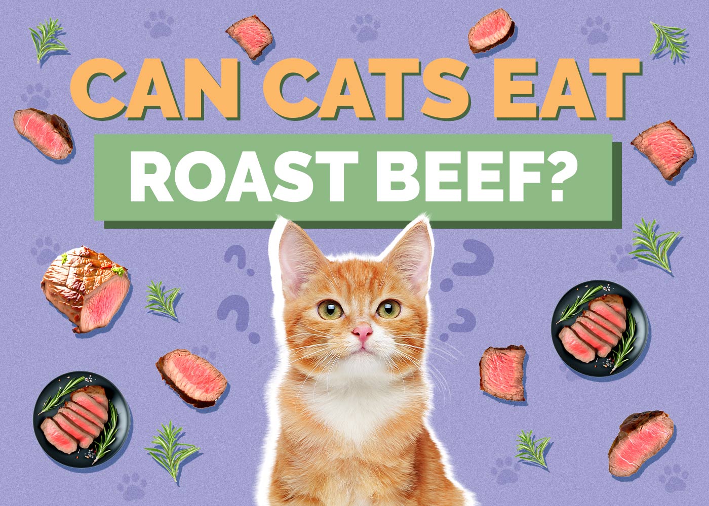 Can Cats Eat Roast Beef? Vet-Approved Facts & FAQ