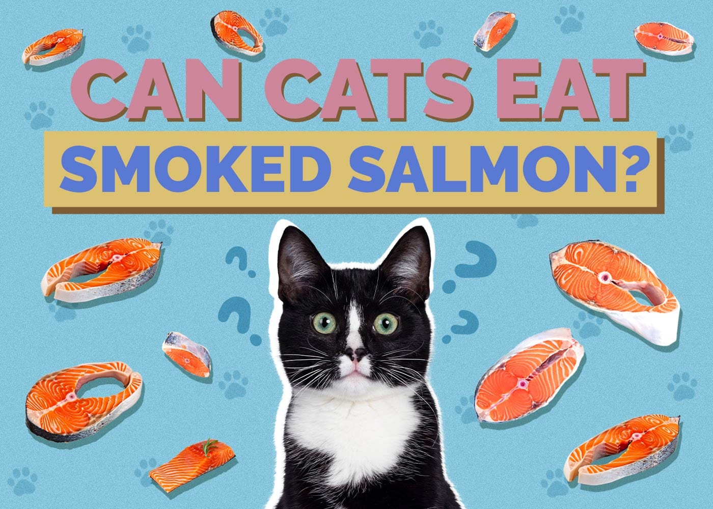 Can Cats Eat Smoked Salmon? Vet Approved Nutrition Facts & FAQ