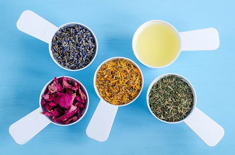 Ayurveda for Dogs: Does It Work? Our Vet Explains Facts, Risks & FAQ