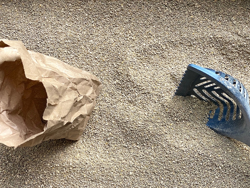Can You Compost Cat Litter? Vet Reviewed Benefits & Risks