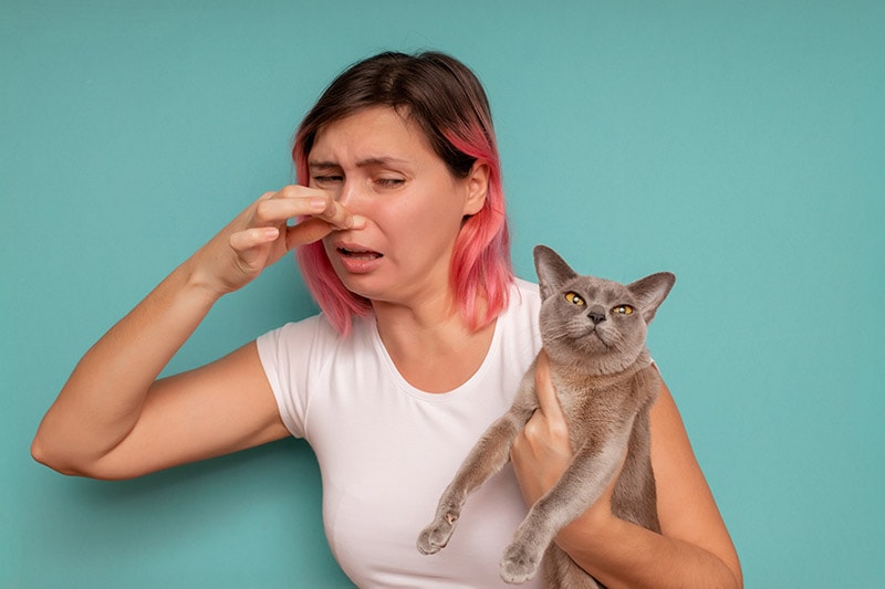 Why Does My Cat Smell Like Poop? 5 Possible Reasons