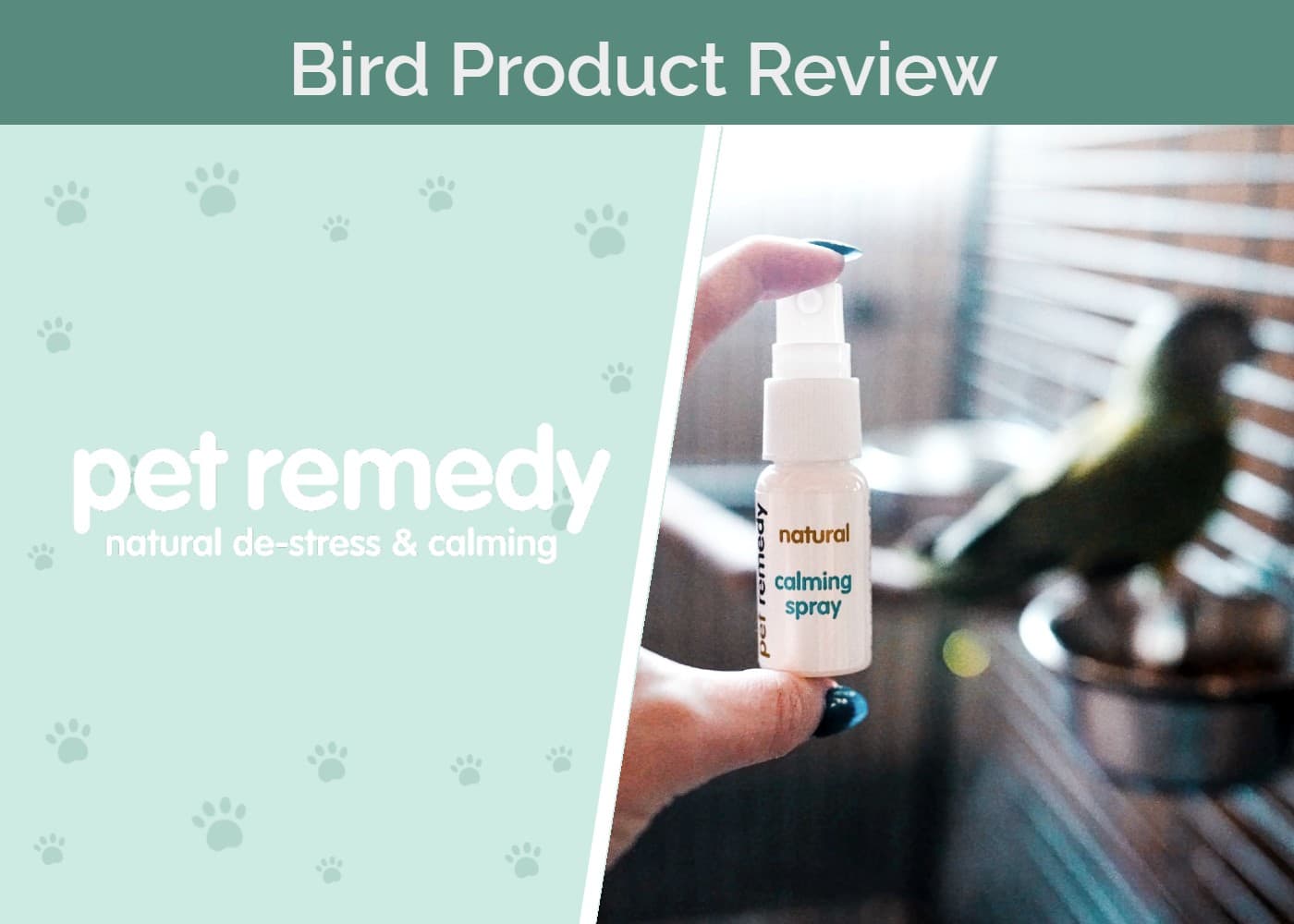 Pet Remedy Natural Bird Calming Kit Review 2026: Our Expert’s Opinion