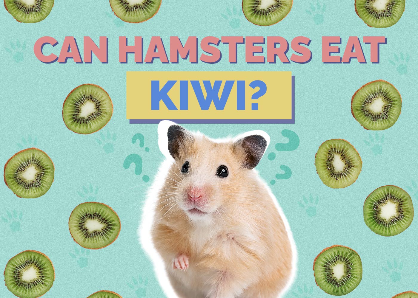 Can Hamsters Eat Kiwi? Vet Approved Facts & FAQ