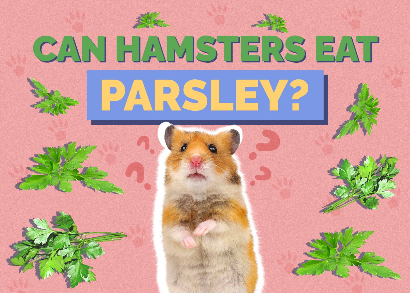 Can Hamsters Eat Parsley? Vet-Approved Facts & FAQ