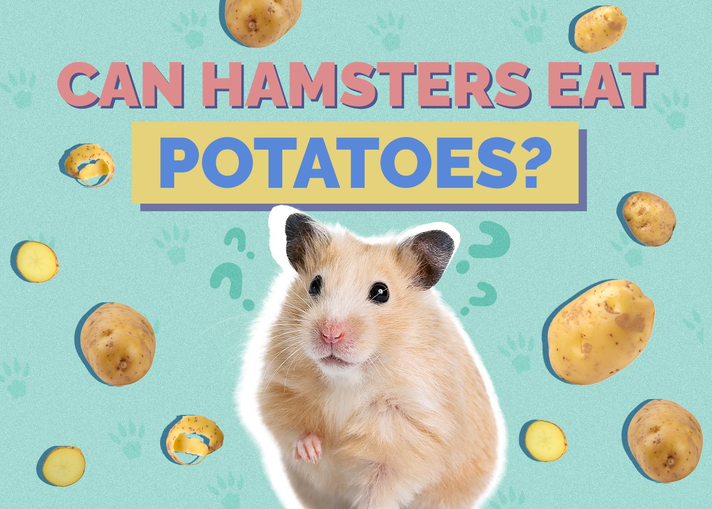 Can Hamsters Eat Potatoes? Vet Approved Facts & FAQ