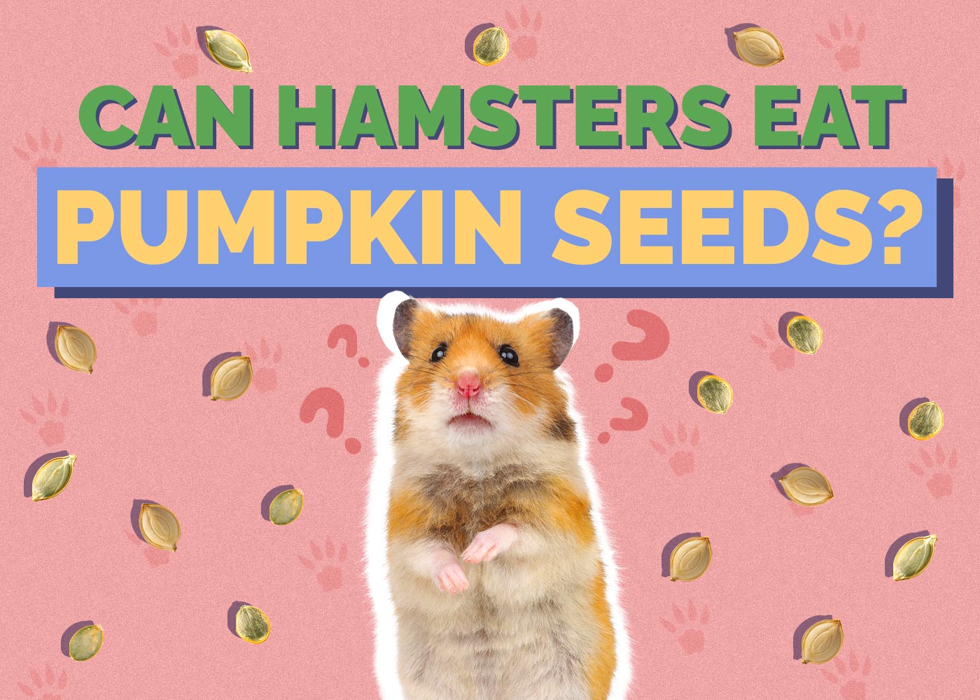 Can Hamsters Eat Pumpkin Seeds? Vet-Approved Facts & FAQ