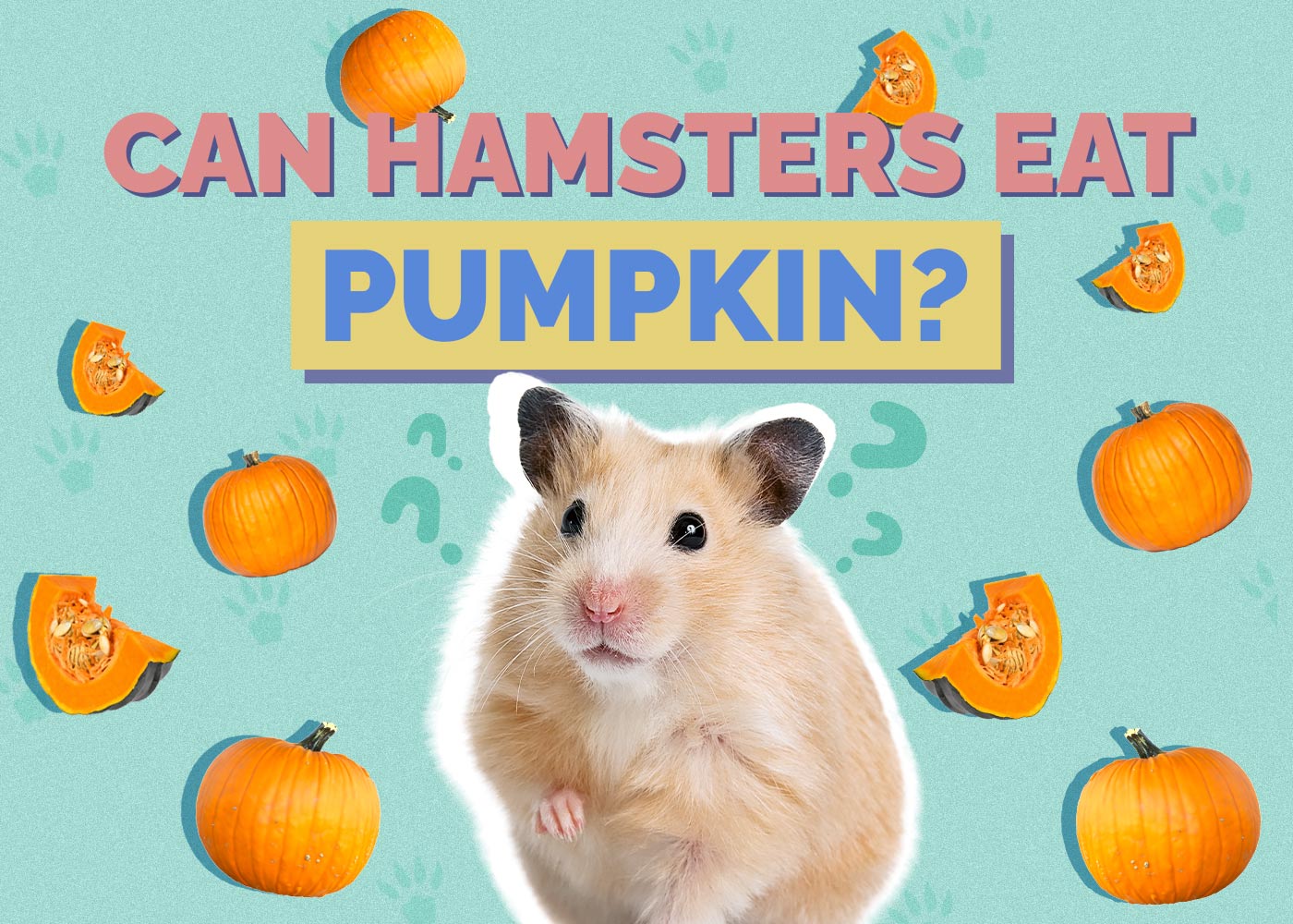 Can Hamsters Eat Pumpkin? Vet-Approved Nutritional Guide