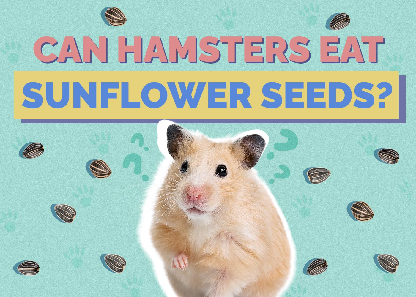 Can Hamsters Eat Sunflower Seeds? Vet-Approved Facts & FAQ
