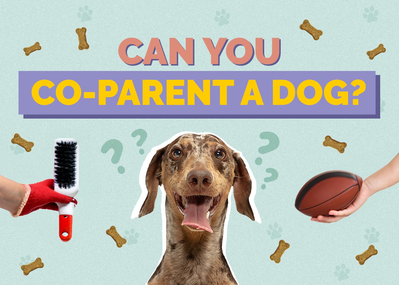 Can You Co-Parent a Dog? Facts & Expert Advice