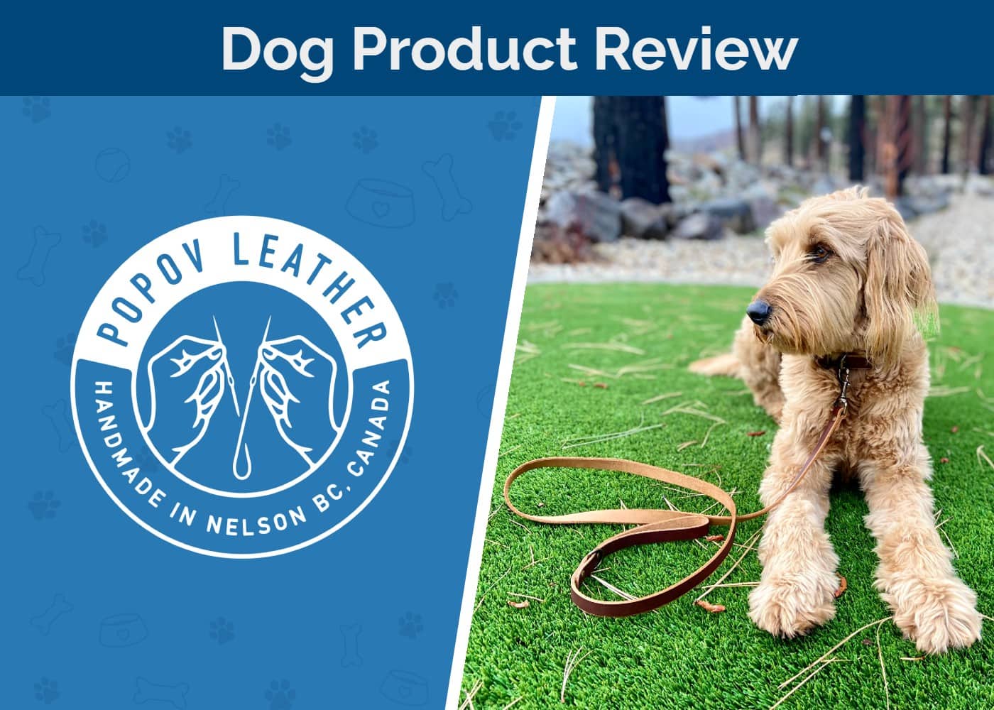 Popov Leather Dog Collar & Leash Review 2026: Our Expert’s Opinion